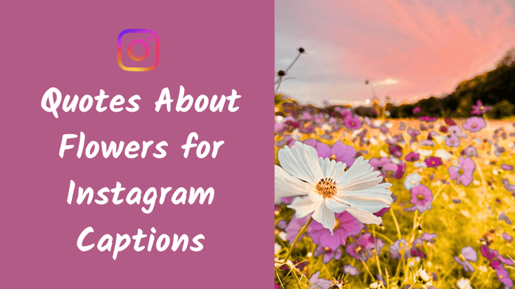 Beautiful Quotes About Flowers for Instagram Captions That Feel Calm and Aesthetic
