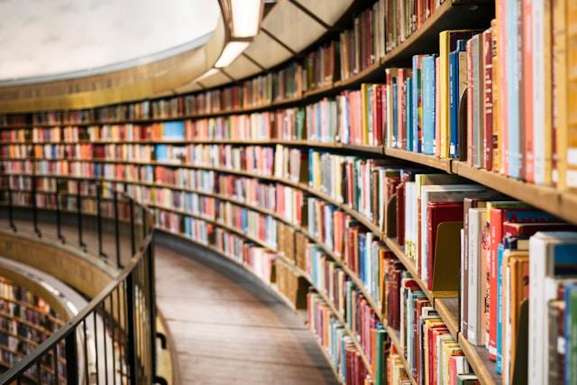National Book Lovers Day: Captions, Creative Lines, and Ways to Celebrate Reading in Gen Z Style